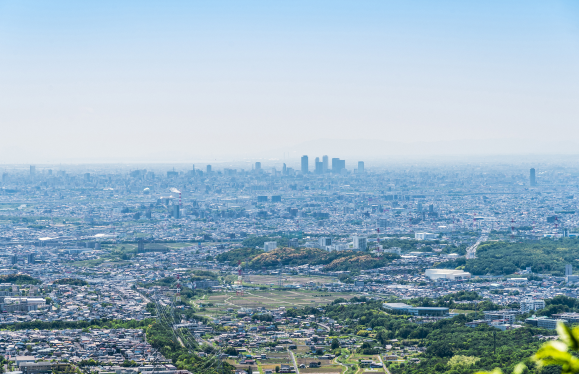 画像：サンプル